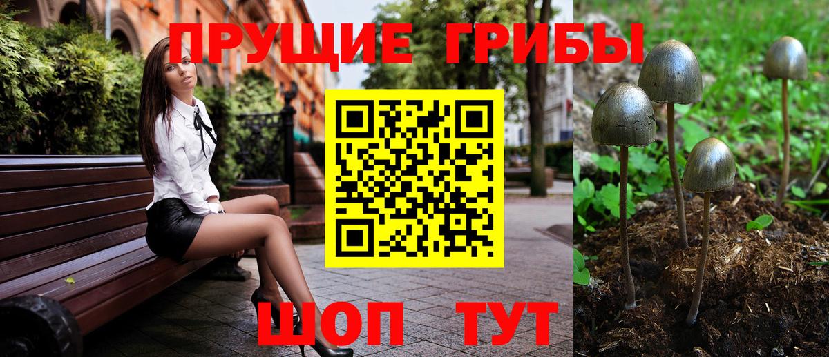 Псилоцибиновые грибы Magic Shrooms  Вход с VPN  Ржев 